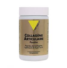 VITALL COLLAGENE PUR EN PDRE 100 G
