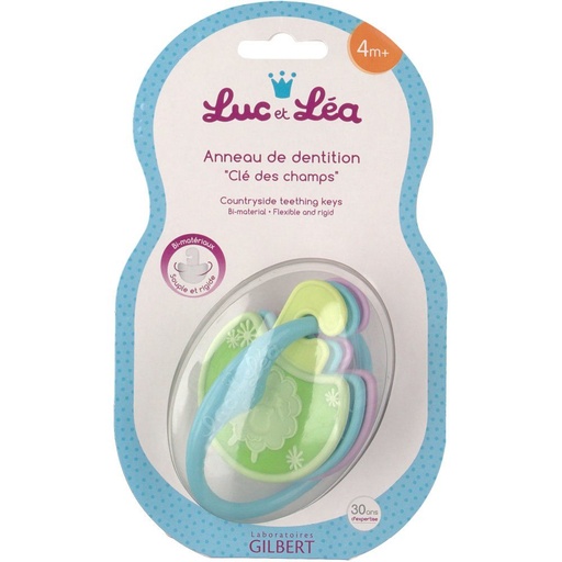 LUC&LEA ANNEAU DENT CLE DES CHAMP 4M